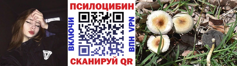 Псилоцибиновые грибы Psilocybine cubensis  где продают   blacksprut ТОР  Навашино 