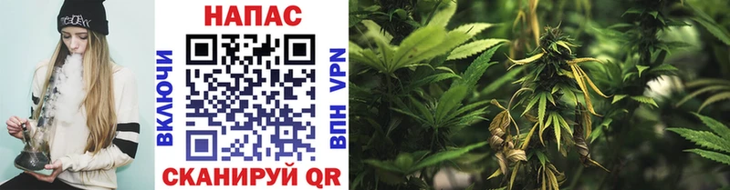 как найти наркотики  Навашино  Марихуана SATIVA & INDICA 